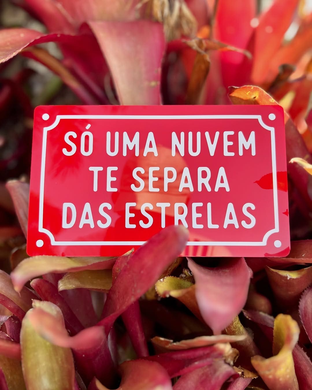 Minuatura do produto